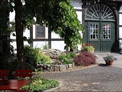 Foto: Die Knolle