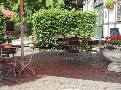 Foto: Die Knolle