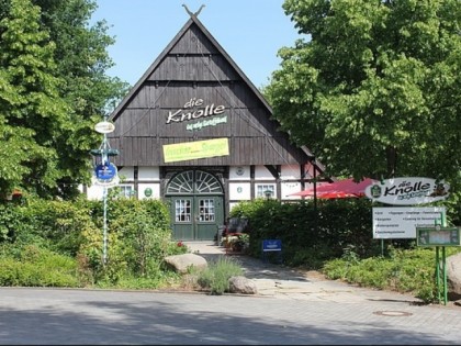 Foto: Die Knolle