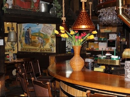 Foto: Die Knolle